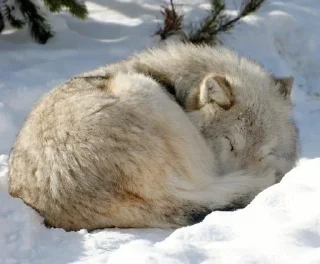 Sticker Больше стиков тут: @stikery4 - 2