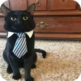 Sticker Больше стиков тут: @stikery4 - 2