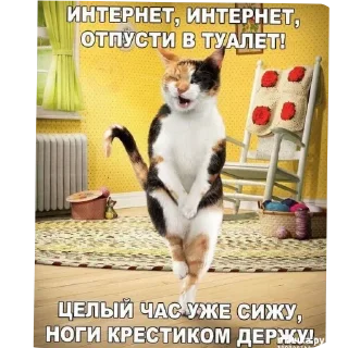 Sticker Больше стиков тут: @stikery4 - 8