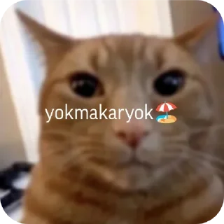 Sticker Больше стиков тут: @stikery4 - 5