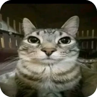 Sticker Больше стиков тут: @stikery4 - 7