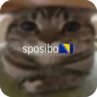 Sticker Больше стиков тут: @stikery4 - 11