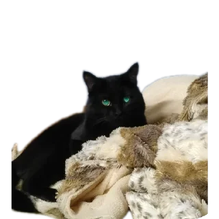 Sticker Салемстеам - 9