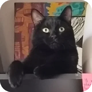 Sticker Салемстеам - 8