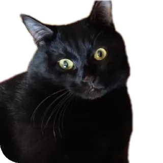 Sticker Салемстеам - 7