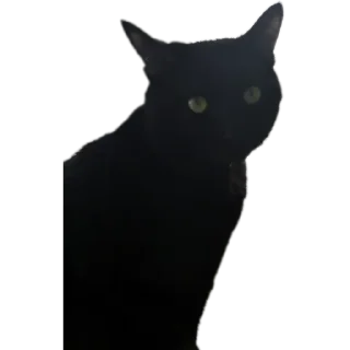 Sticker Салемстеам - 10