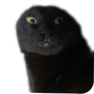 Sticker Салемстеам - 4