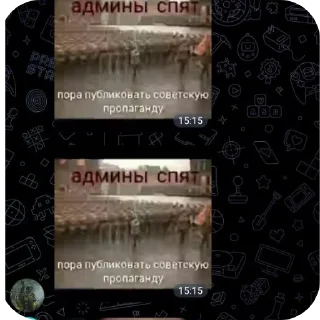 Sticker Бушок попугай ээээ @TgEmodziBot - 7