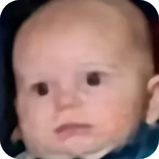 Sticker Бушок попугай ээээ @TgEmodziBot - 1