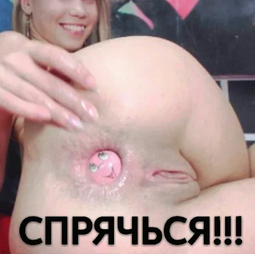 Sticker cerdadasvarias - 1