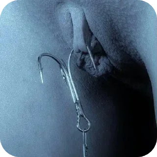 Sticker cerdadas varias - 2