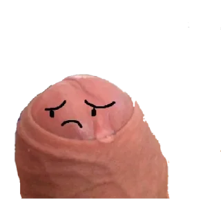 Sticker cerdadas varias - 10