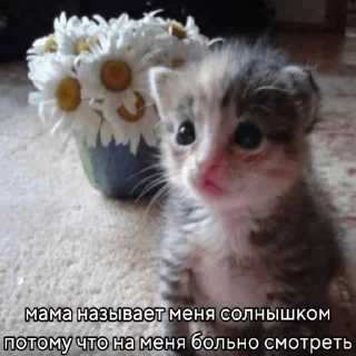 Стикер Идите нахуй @Chertila235 - 5