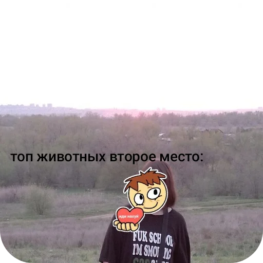 Sticker chponk61 - 1