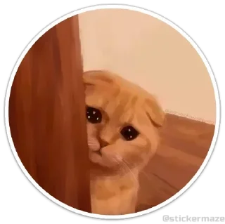 Sticker Котокружочки @colored_emotions - 1