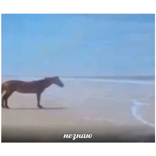 Стикер Создай стики 👉 @QStickRobot - 8