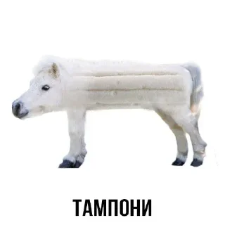 Стикер Создай стики 👉 @QStickRobot - 10