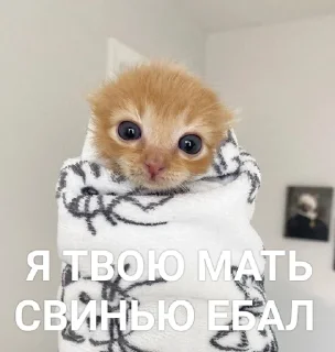 Стикер хрюк - 10