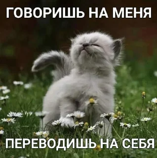 Стикер хрюк - 9