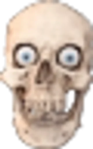 Стикер dRIzI6SN_by_erygtrtsbot - 1