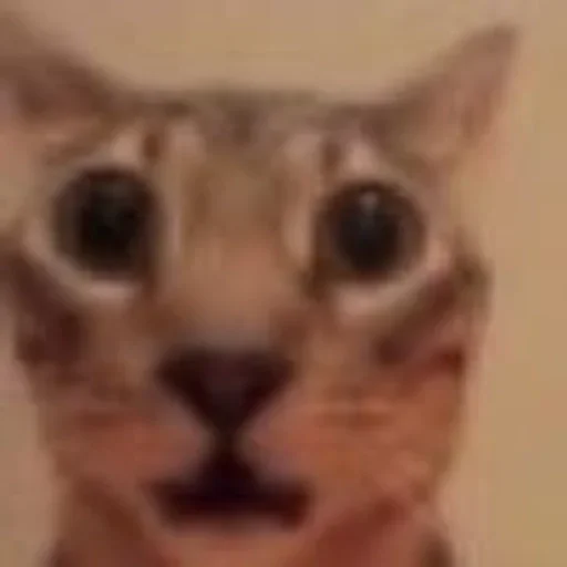 Стикер dRIzI6SN_by_erygtrtsbot - 1