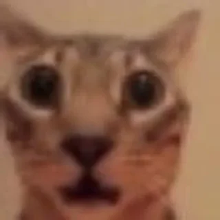 Sticker Больше @sbornik_emoji - 2