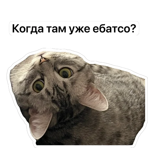 котик @TgEmodziBot - 