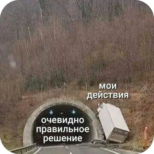 Стикер daffy_cat_by_TgEmodziBot - 1