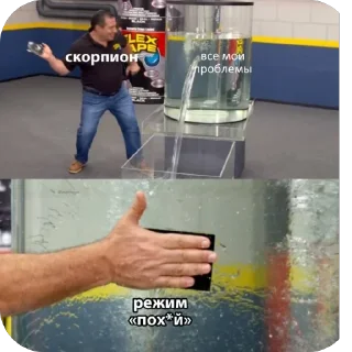 Стикер котик @TgEmodziBot - 11