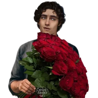 Sticker Давид РСА от @ank_rc - 10