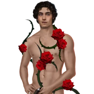 Sticker Давид РСА от @ank_rc - 3