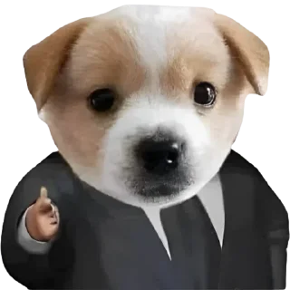 Sticker @ddlorahph - 4