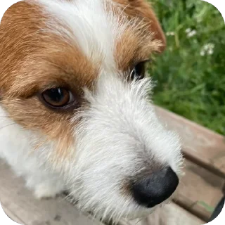 Sticker Дэм😮‍💨 @TgEmodziBot - 3