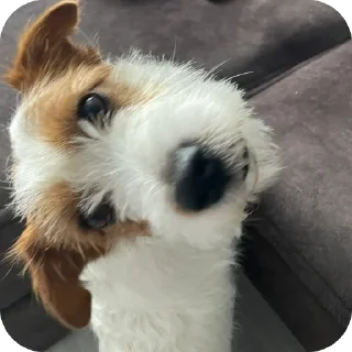 Sticker Дэм😮‍💨 @TgEmodziBot - 5