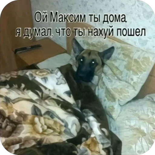 Стикер dhtavvy_by_achestickbot - 1