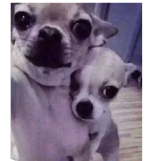 Sticker Больше стиков тут: @stikery4 - 10