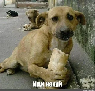 Sticker Больше стиков тут: @stikery4 - 0