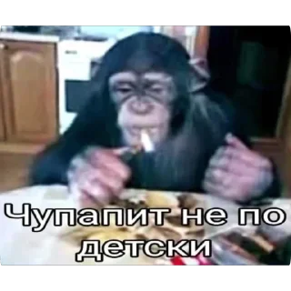 Sticker Больше стиков тут: @stikery4 - 5