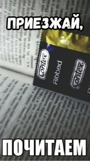 Sticker сука - 10