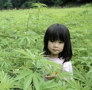 Sticker сука - 11