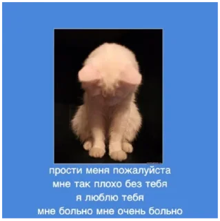 Sticker сука - 5