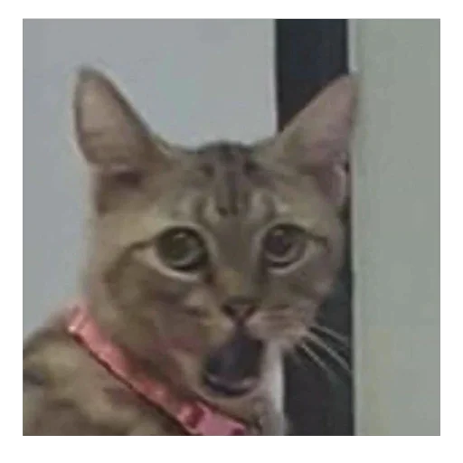 Sticker dlya_vseh94 - 1