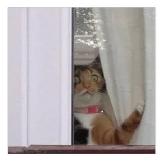 Sticker 🤡для всех - 11