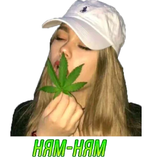 Sticker Жми → @stickfav - 6