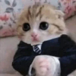 Sticker Больше стиков тут: @stikery4 - 5