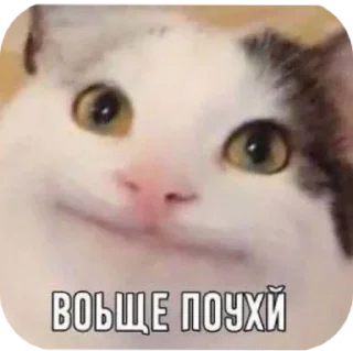 Стикер R&D😈 - 8