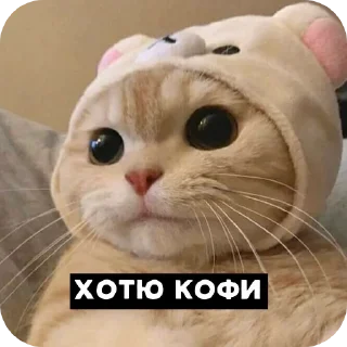 Стикер R&D😈 - 0