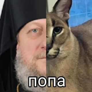 Стикер пикчи на все случаи жизни - 3