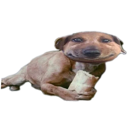 Sticker epon_baton - 1