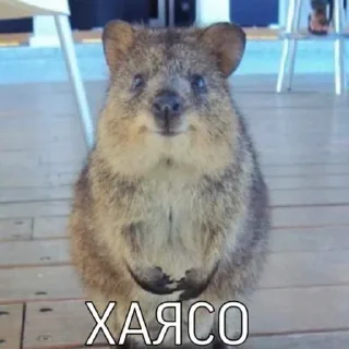 Стикер Больше @sbornik_emoji - 8